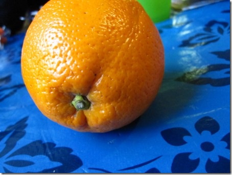 italie jour 1 038 (450x338)