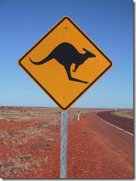 kangourou
