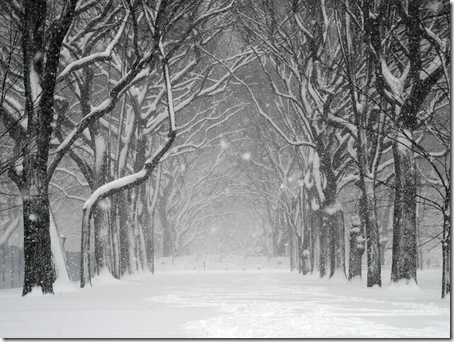central park snow