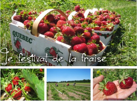 festivalfraise