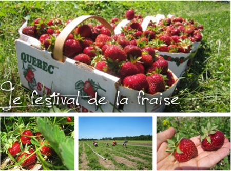 festivalfraise