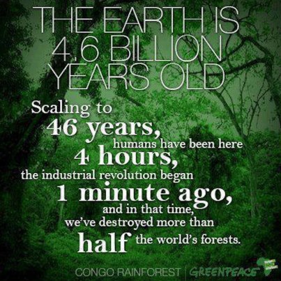 544631_564790806875268_1320323874_n