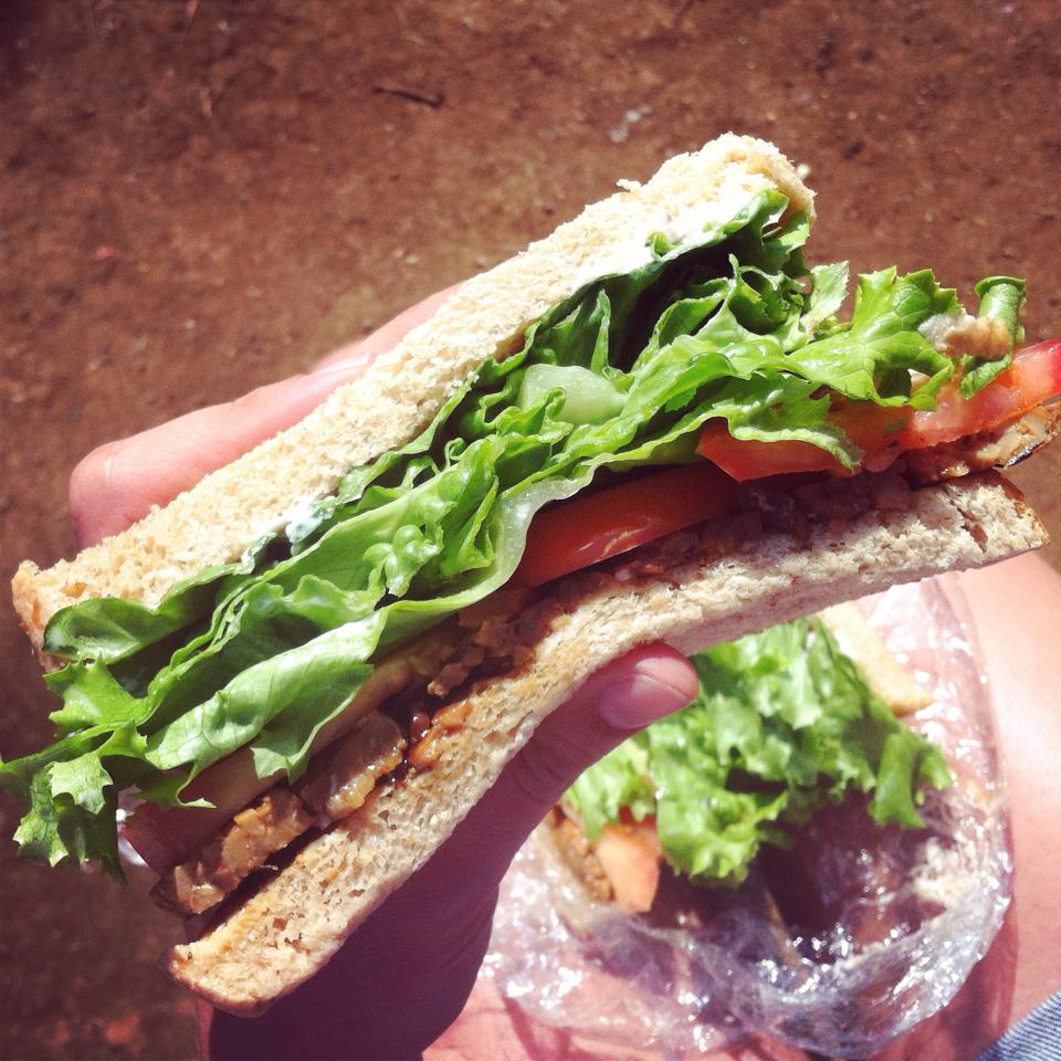 10350425_867506183269720_2738979514967965844_n