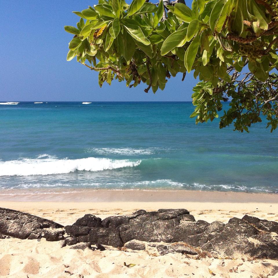 1798191_866643666689305_5077901492070902209_n