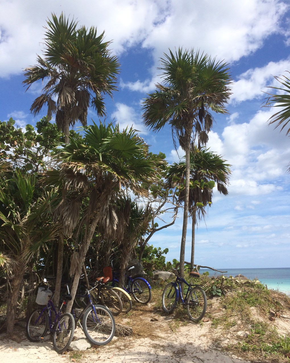 Fichier 16-02-18 08 45 30