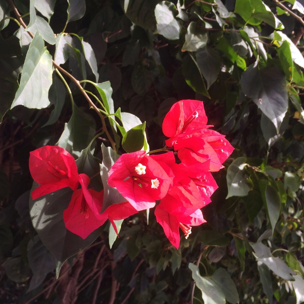 Fichier 16-02-18 08 50 05