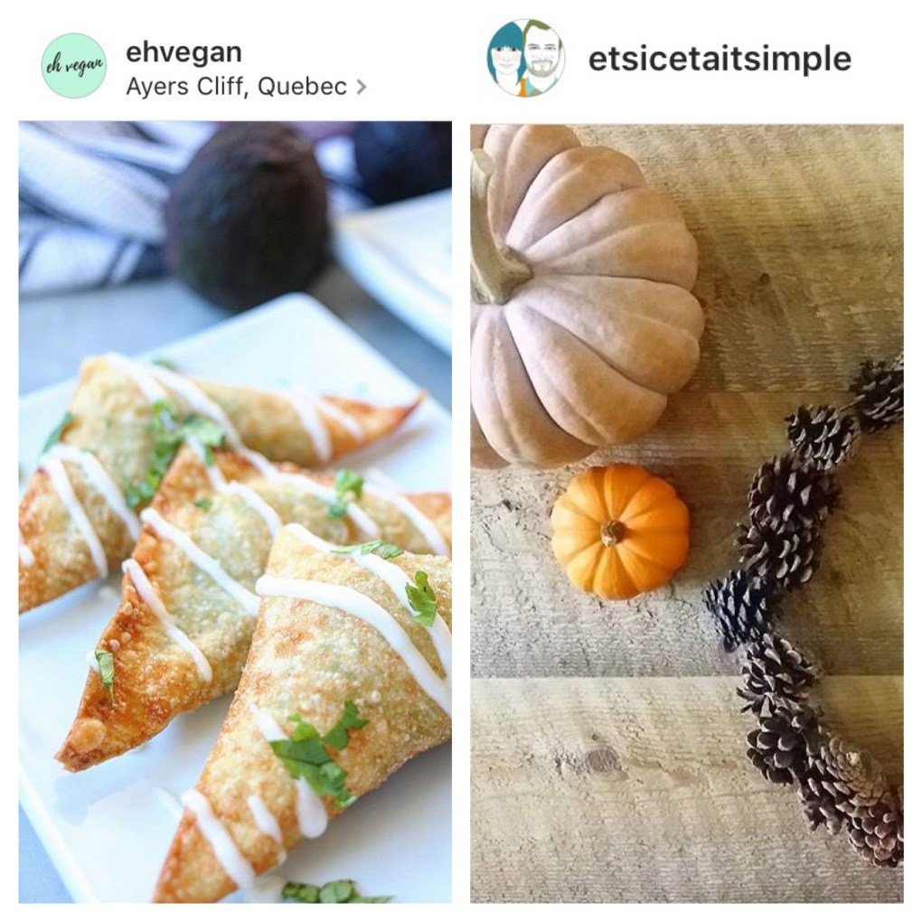 eh-vegan-etsicetaitsimple