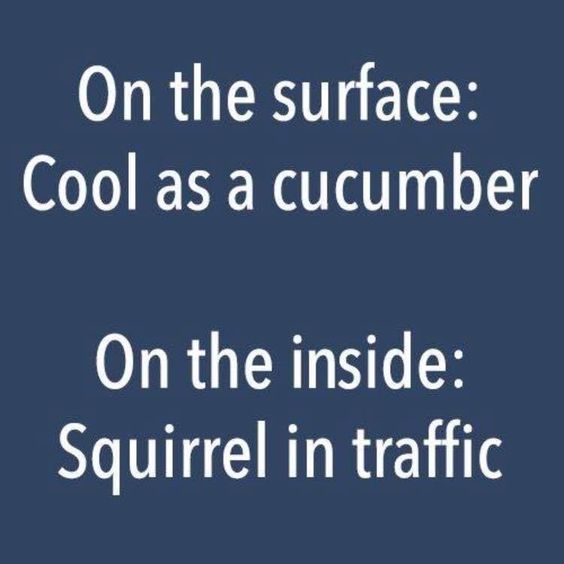 cucumber squirrel