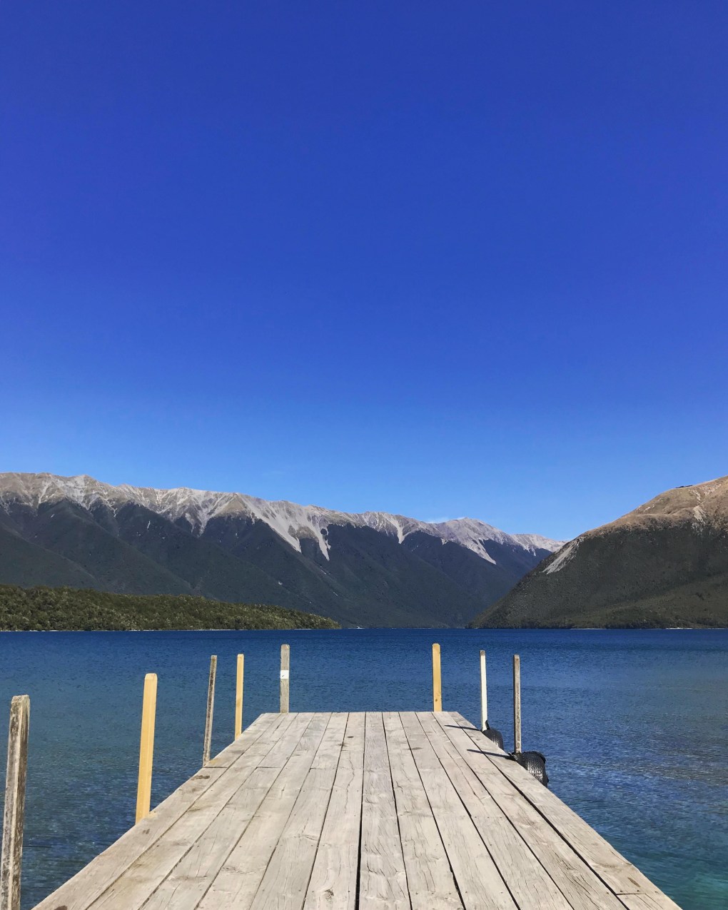 54462531_2244861915778053_8773846405874712576_n